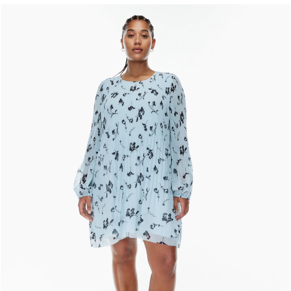 Aritzia Wilfred Daydreamer mini dress